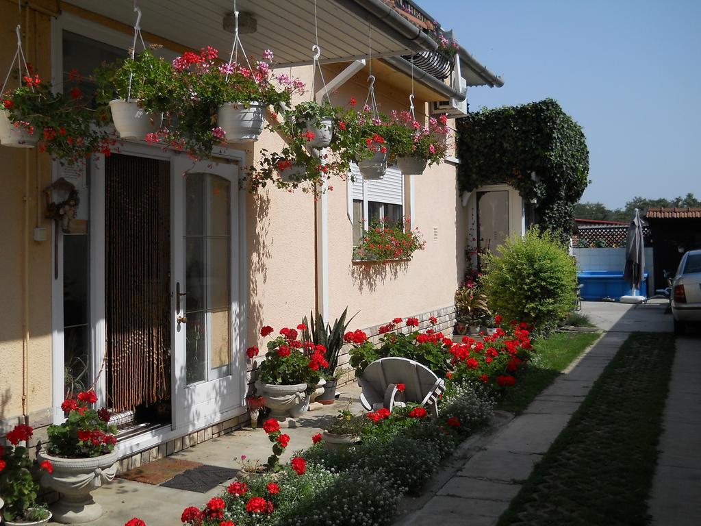 Pal Haz Apartment Abádszalók Exterior foto